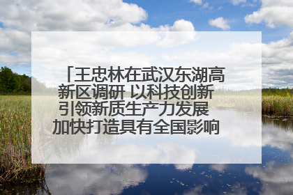 王忠林在武汉东湖高新区调研 以科技创新引领新质生产力发展 加快打造具有全国影响力的科技创新高地