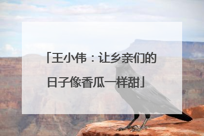 王小伟：让乡亲们的日子像香瓜一样甜