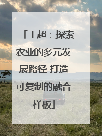 王超：探索农业的多元发展路径 打造可复制的融合样板