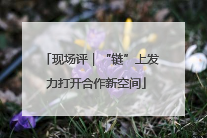 现场评｜“链”上发力打开合作新空间