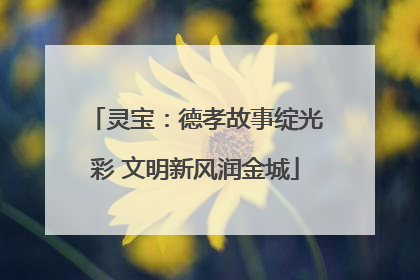 灵宝：德孝故事绽光彩 文明新风润金城