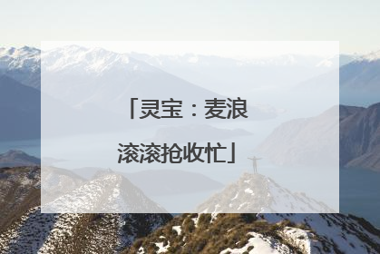 灵宝：麦浪滚滚抢收忙