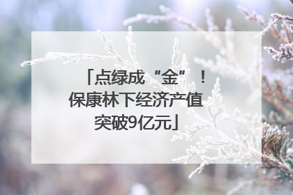 点绿成“金”！保康林下经济产值突破9亿元