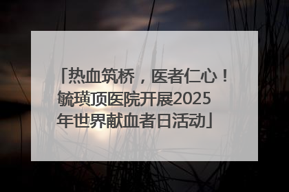 热血筑桥，医者仁心！毓璜顶医院开展2025年世界献血者日活动