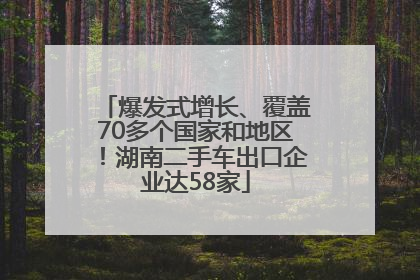 爆发式增长、覆盖70多个国家和地区！湖南二手车出口企业达58家