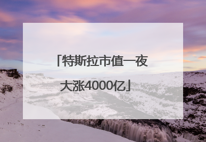 特斯拉市值一夜大涨4000亿