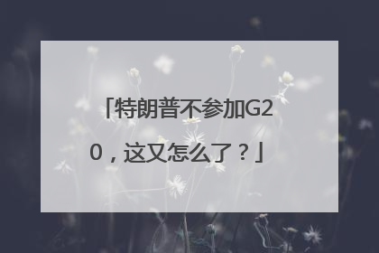 特朗普不参加G20，这又怎么了？