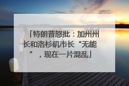 特朗普怒批：加州州长和洛杉矶市长“无能”，现在一片混乱