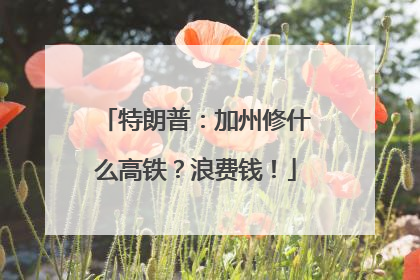 特朗普：加州修什么高铁？浪费钱！