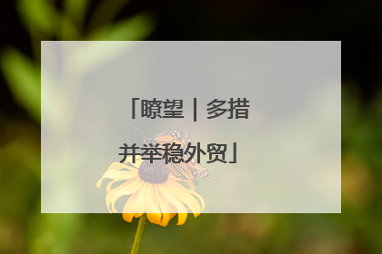 瞭望｜多措并举稳外贸