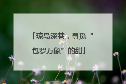 琼岛深巷，寻觅“包罗万象”的甜