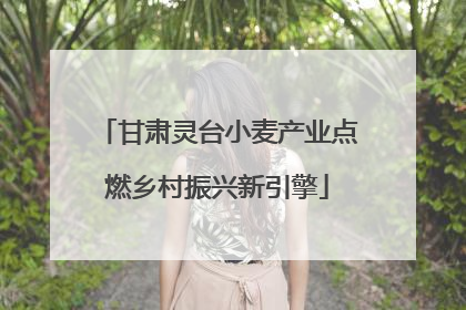 甘肃灵台小麦产业点燃乡村振兴新引擎