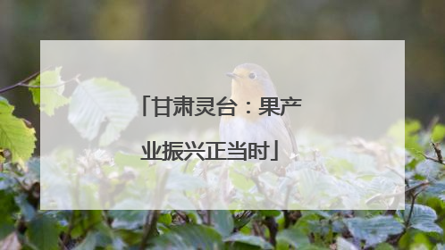 甘肃灵台：果产业振兴正当时