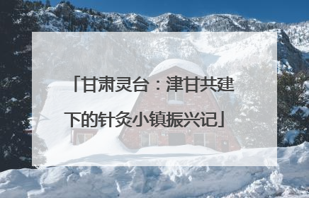 甘肃灵台：津甘共建下的针灸小镇振兴记