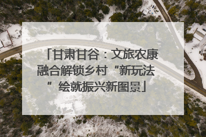 甘肃甘谷：文旅农康融合解锁乡村“新玩法”绘就振兴新图景