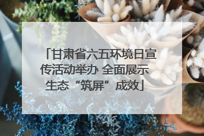 甘肃省六五环境日宣传活动举办 全面展示生态“筑屏”成效