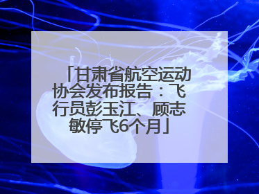 甘肃省航空运动协会发布报告：飞行员彭玉江、顾志敏停飞6个月