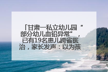 甘肃一私立幼儿园“部分幼儿血铅异常”，已有19名患儿跨省医治，家长发声：以为孩子出问题，没想过会与学校有关