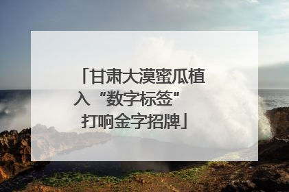 甘肃大漠蜜瓜植入“数字标签” 打响金字招牌