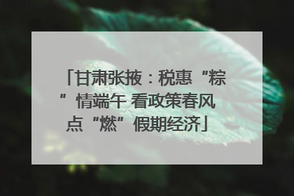 甘肃张掖：税惠“粽”情端午 看政策春风点“燃”假期经济