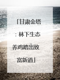 甘肃金塔：林下生态养鸡踏出致富新道