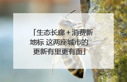 生态长廊＋消费新地标 这两座城市的更新有里更有面