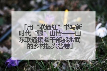 用“联通红”书写新时代“疆”山情——山东联通援疆干部郝兆武的乡村振兴答卷