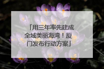 用三年率先建成全域美丽海湾！厦门发布行动方案