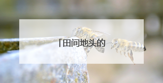 田间地头的“芯”动能