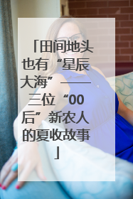 田间地头也有“星辰大海”——三位“00后”新农人的夏收故事