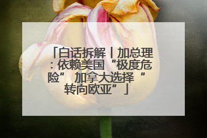 白话拆解丨加总理：依赖美国“极度危险” 加拿大选择“转向欧亚”