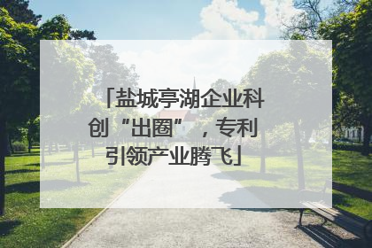 盐城亭湖企业科创“出圈”，专利引领产业腾飞