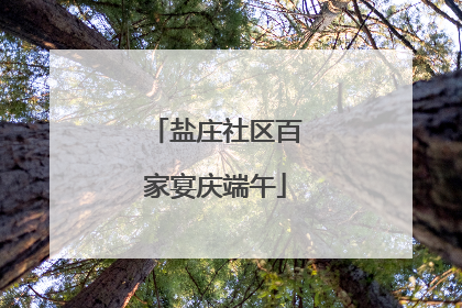 盐庄社区百家宴庆端午