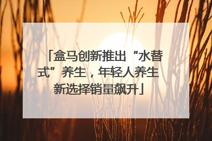 盒马创新推出“水替式”养生，年轻人养生新选择销量飙升