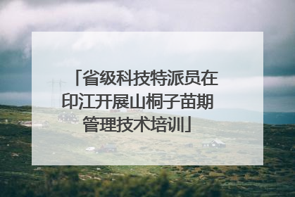 省级科技特派员在印江开展山桐子苗期管理技术培训