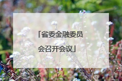省委金融委员会召开会议