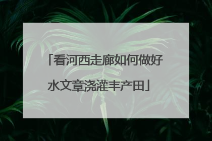 看河西走廊如何做好水文章浇灌丰产田