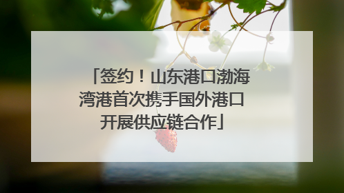 签约！山东港口渤海湾港首次携手国外港口开展供应链合作