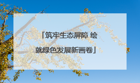 筑牢生态屏障 绘就绿色发展新画卷