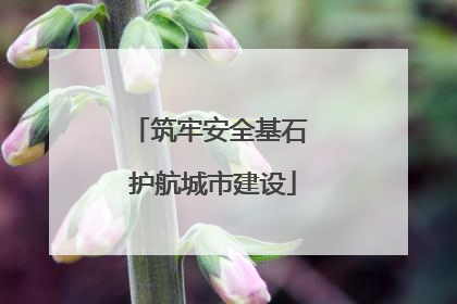 筑牢安全基石 护航城市建设