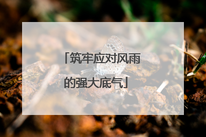筑牢应对风雨的强大底气