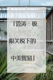 管涛：极限关税下的中美贸易