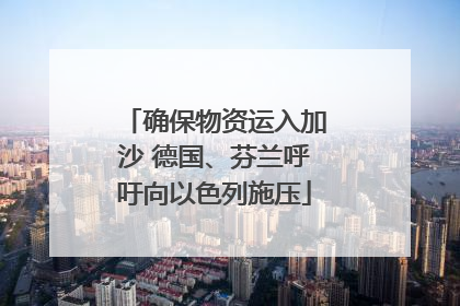 确保物资运入加沙 德国、芬兰呼吁向以色列施压