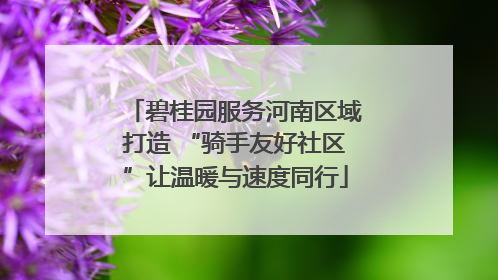 碧桂园服务河南区域打造 “骑手友好社区”让温暖与速度同行