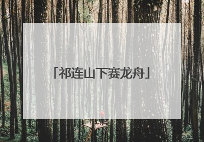 祁连山下赛龙舟