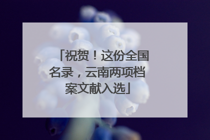 祝贺！这份全国名录，云南两项档案文献入选