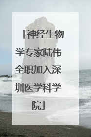 神经生物学专家陆伟全职加入深圳医学科学院