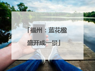 福州：蓝花楹盛开成一景