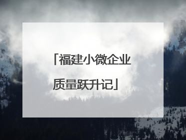 福建小微企业质量跃升记