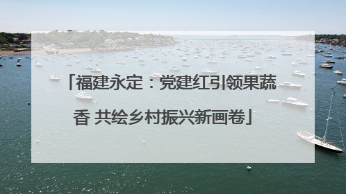 福建永定：党建红引领果蔬香 共绘乡村振兴新画卷